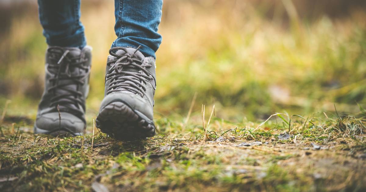 wandelschoenen